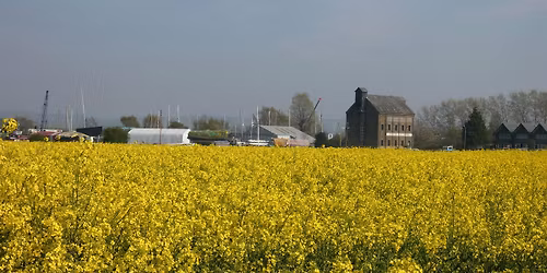 Birdwatching Walk at Faversham Creek