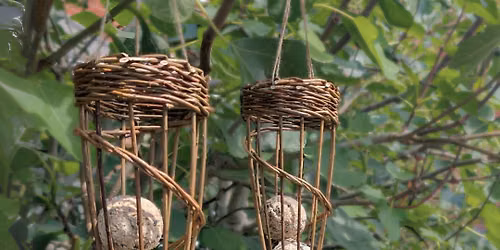 Willow Bird Feeder Workshop