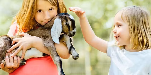 Farm Explorers at Weir River Farm