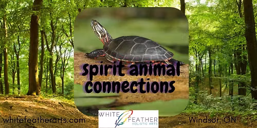 Spirit Animal Connections: Turtle