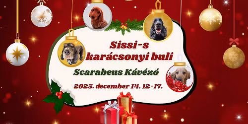 Sissi-s kar\u00e1csonyi buli