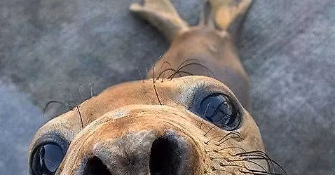 Truly Unruly Band at Gentleman Jim's