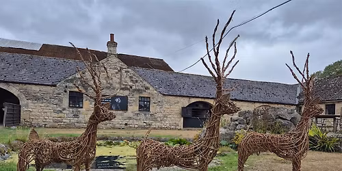 Reindeer Willow Weaving Workshop