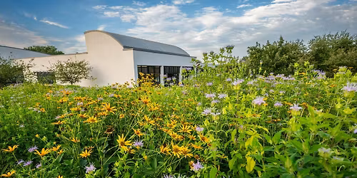 Exploring Materials: Mark-Making in Nature!