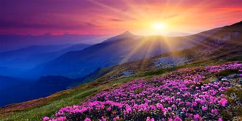 Clinical Hypnosis for Joy, Energy and Vitality (IN PERSON)