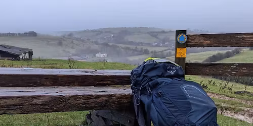 Yellow Belly Ultra Events - Tabbed in the Head