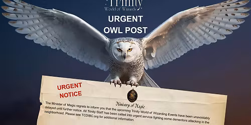 Trinity World of Wizards - Great Hall Feast DELAYED