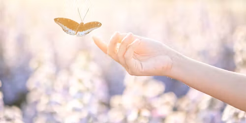 RAJA YOGA MEDITATION COURSE Awaken to Your Original Peace