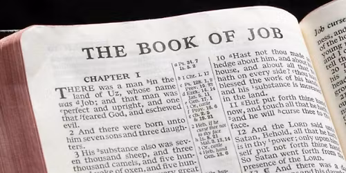 Joyrisers Women's Bible Study