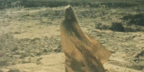 Clare Marie Bailey: Reel Time