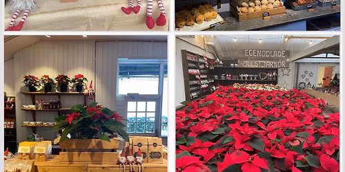 Julmarknad p\u00e5 Tomatens Hus \ud83c\udf32