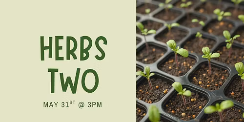 Herbs 2