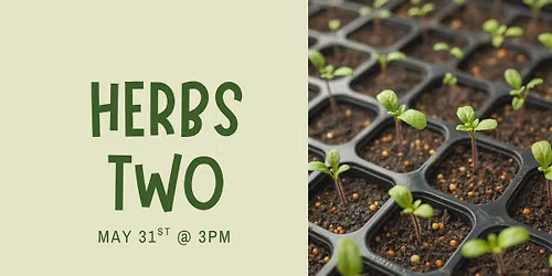 Herbs 2