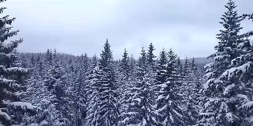 Winter Wonderland - LL PROM