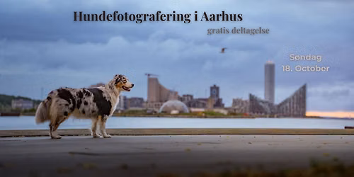 Dogs in the City: Aarhus - Gratis deltagelse