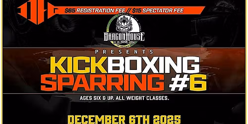 Kickboxing Sparring 6