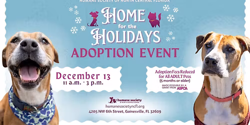 Home for the Holidays Adoption Event @ HSNCF