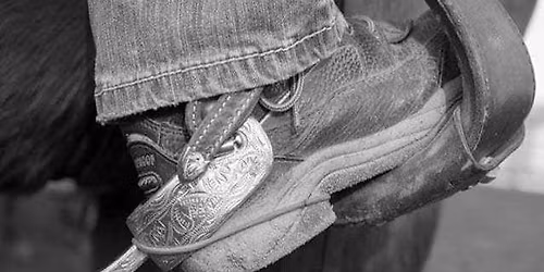 4-H\/FCSC May Schooling Show