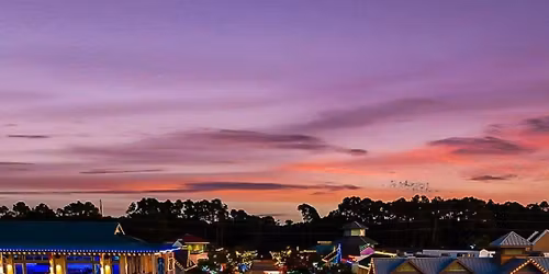 Holiday Lights & Tree at Shelter Cove Towne Centre