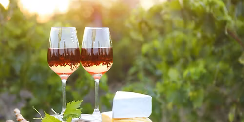 Summer Cheese & Wine Pairing