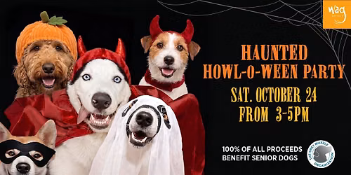 Haunted Howl-o-ween Party for Dogs at Wag Hotels San Francisco