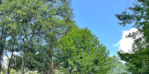 Labyrinth Walk \u2013 September Equinox