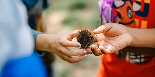 Youth Workshop: Harvest Creations