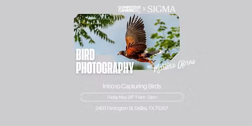 Bird Photography w\/ Martina Abreu