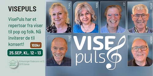 VisePuls: Konsert (100kr)
