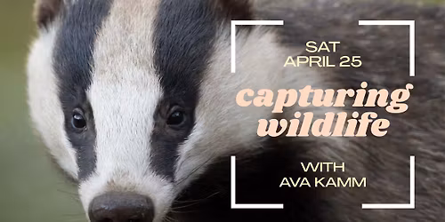 Wildlife Prairie Park Walk