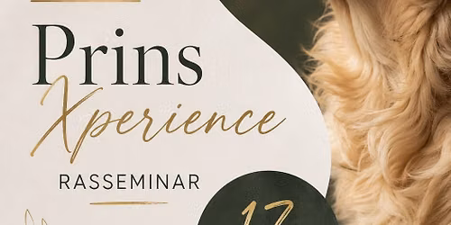 Xperience & Seminar Rasstandaard