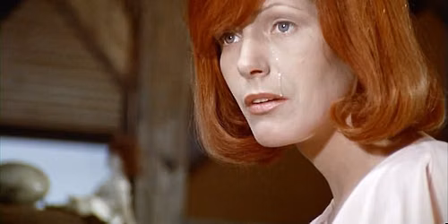 The Bitter Tears of Petra von Kant
