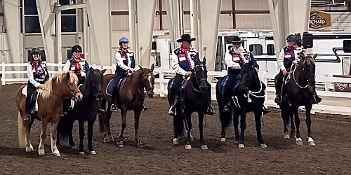 Equine Affaire 2026