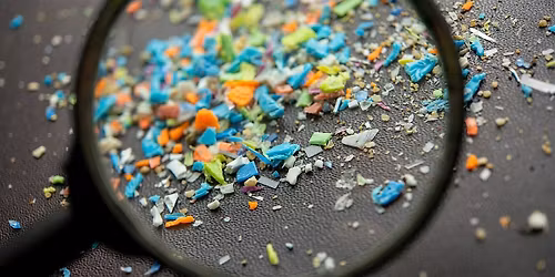 Microplastics Workshop for Home Schoolers