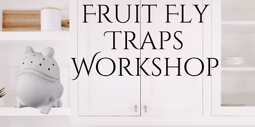Bisque Painting: Fruit Fly Trap
