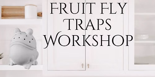 Bisque Painting: Fruit Fly Trap