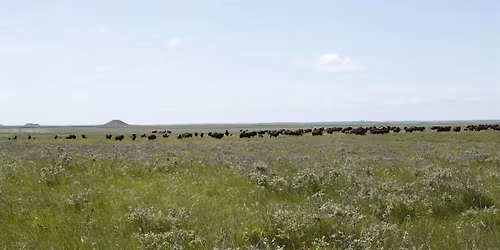 2026 Community Health Representative Symposium