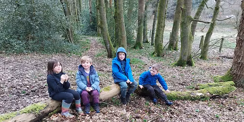 Brinscall Woods Family (Quail) Trail