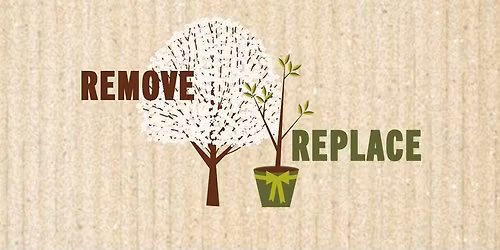 Bradford Pear Bounty - Mount Pleasant, SC