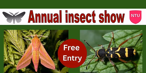 Annual Insect Show 2025