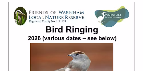 Bird Ringing