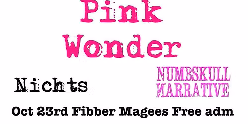 Pink Wonder plus The Nilz at Fibbers
