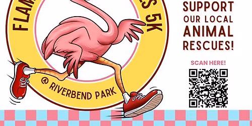 Flamingo Run