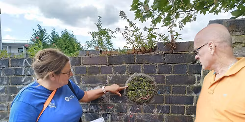 Let's Walk - Etruria Art Trail