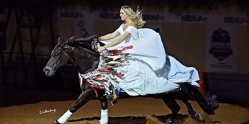 NRHA Freestyle Reining