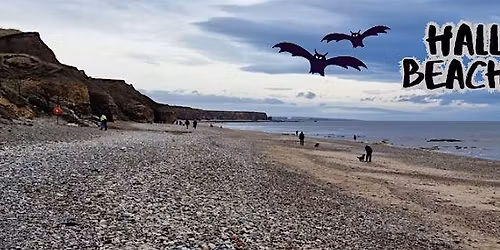 Halloween Beach Clean - Seaham Hall Beach