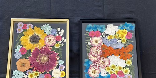 Pressed Flower Art - San Francisco