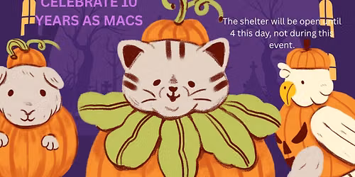 Halloween Bash @MACS \ud83e\udd87\ud83e\udde1