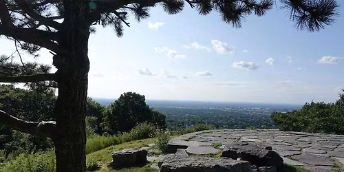 Randonn\u00e9e p\u00e9destre: Le mont Royal c\u00f4t\u00e9 nord