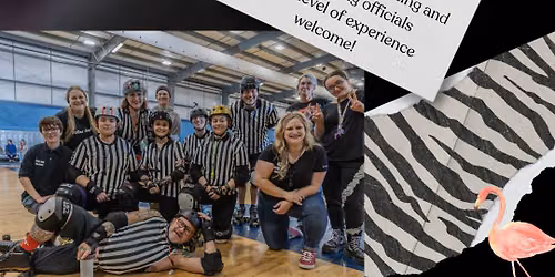 Officials Clinic